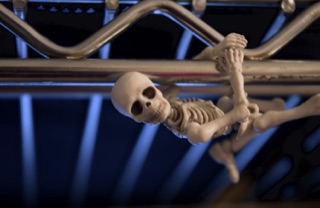 Photo of Freddie, a miniature toy skeleton, hanging from a metal rack above where I work.